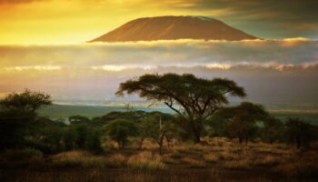 Ol tukai lodge Amboseli 4 days road trip- Resident