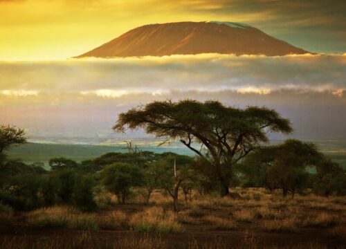 Ol tukai lodge Amboseli 4 days road trip- Resident