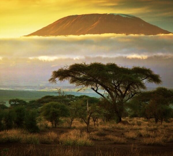 Ol tukai lodge Amboseli 4 days road trip- Resident