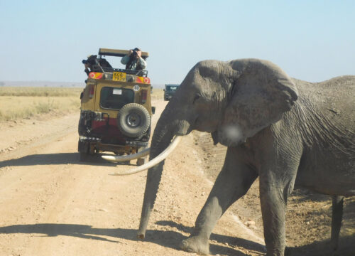 Ol Tukai Lodge Amboseli 3 nights game drive-non resident