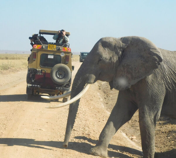 Ol Tukai Lodge Amboseli 3 nights game drive-non resident