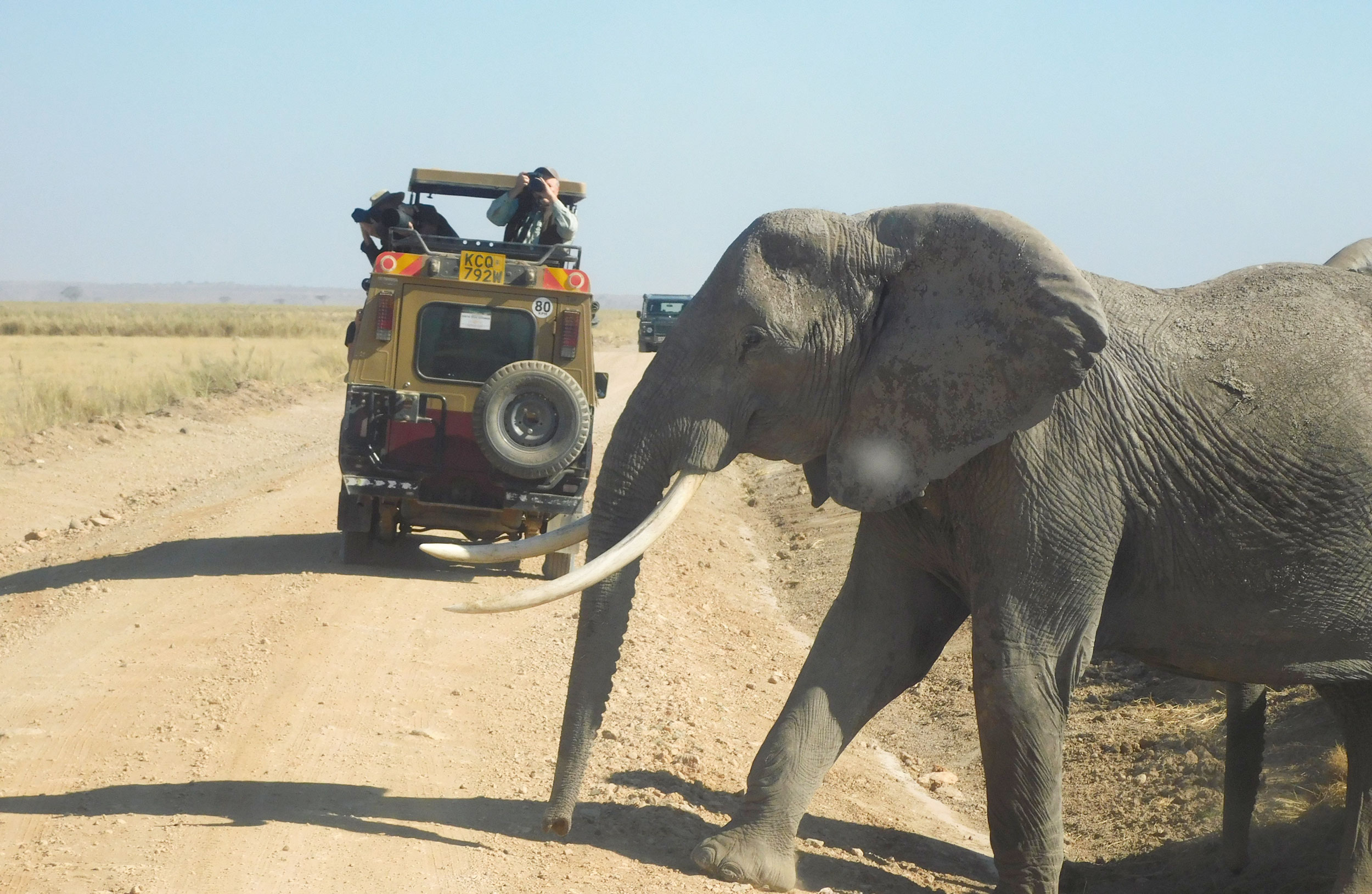 Ol Tukai Lodge Amboseli 3 nights game drive-non resident