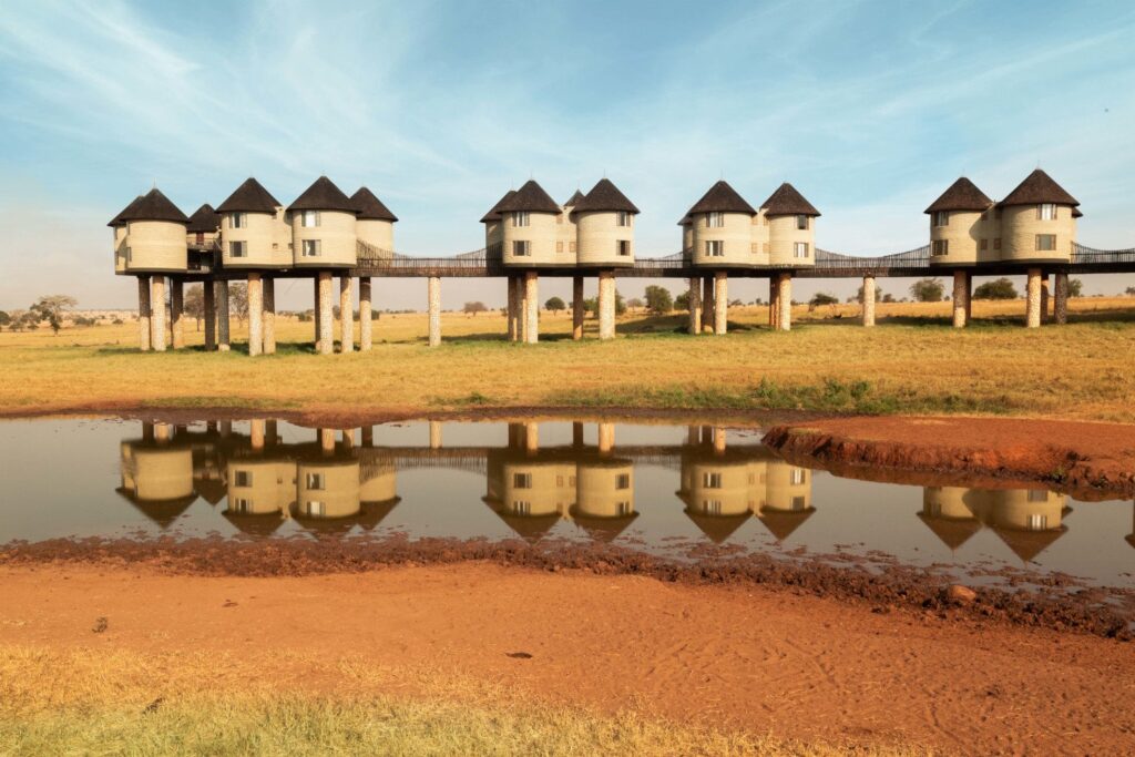 Saltlick 3 days train package-Resident