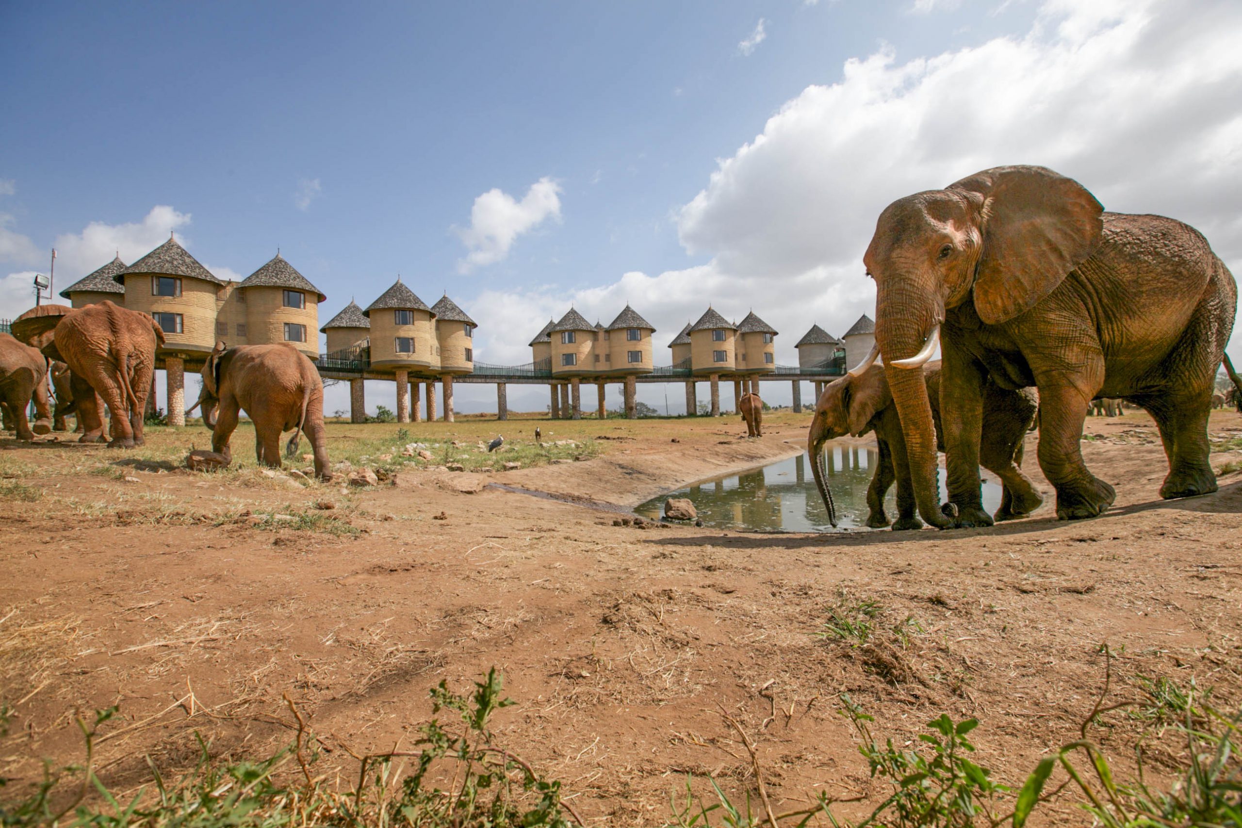 Salt lick Tsavo 3 days train package -Non Resident