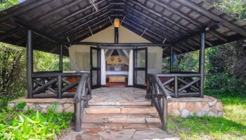 Sarova Mara Game Lodge 2 nights game drive magic-Non Resident