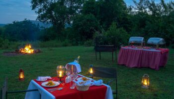 Kenya and Tanzania Budget safari for 10 days