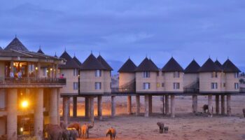 Salt lick Tsavo 3 days train package -Non Resident