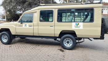 8-Day Amboseli, Nakuru, Maasai Mara & Mombasa Epic Tour