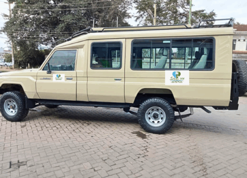 8-Day Amboseli, Nakuru, Maasai Mara & Mombasa Epic Tour